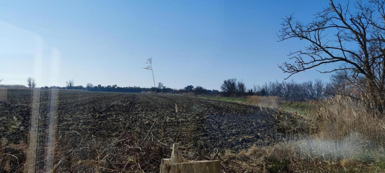 Appartement Au Coeur Des Rizieres Salin-de-Giraud Exterior foto